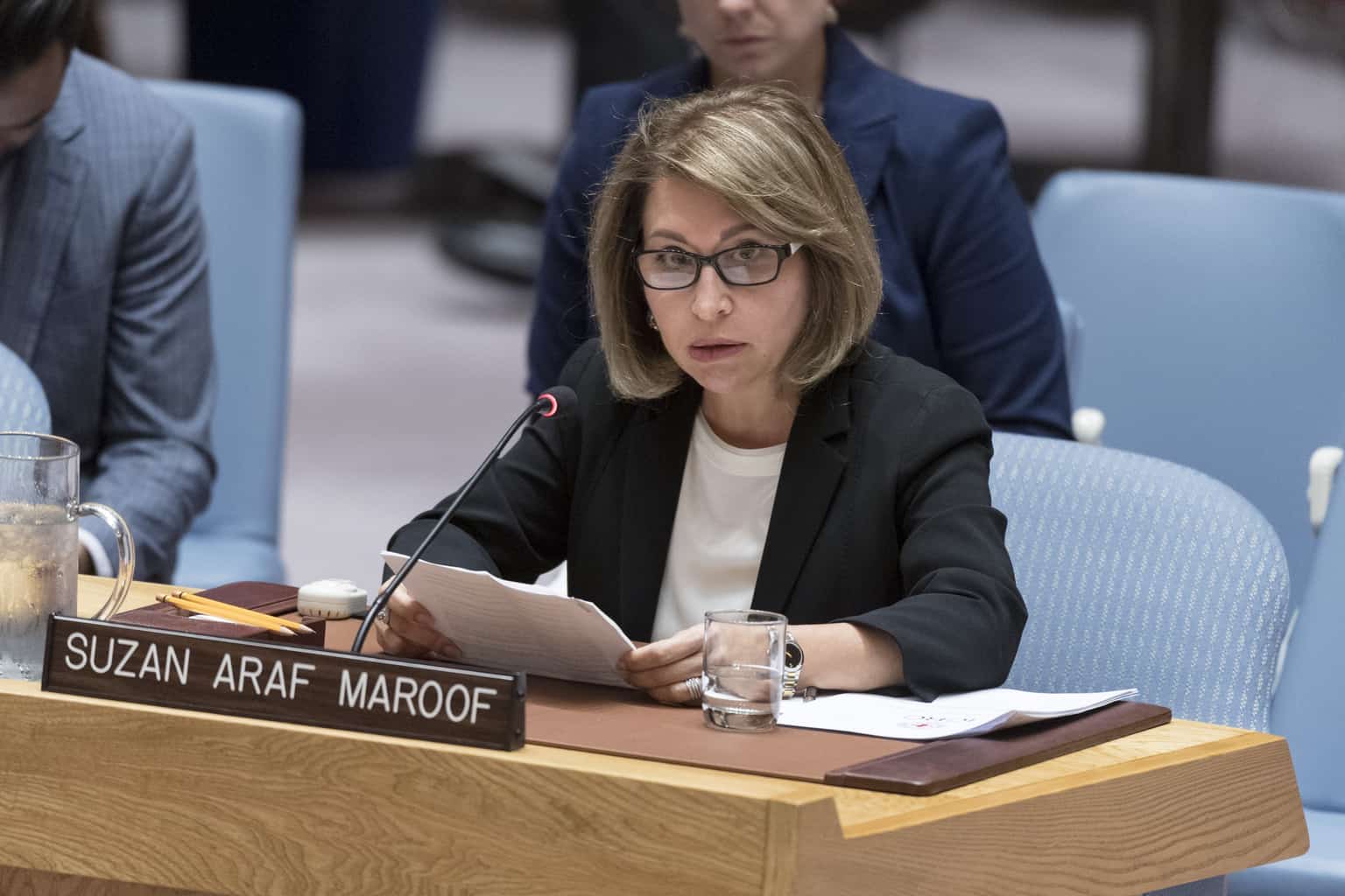 UN Security Council Briefing on Iraq by Suzan Aref