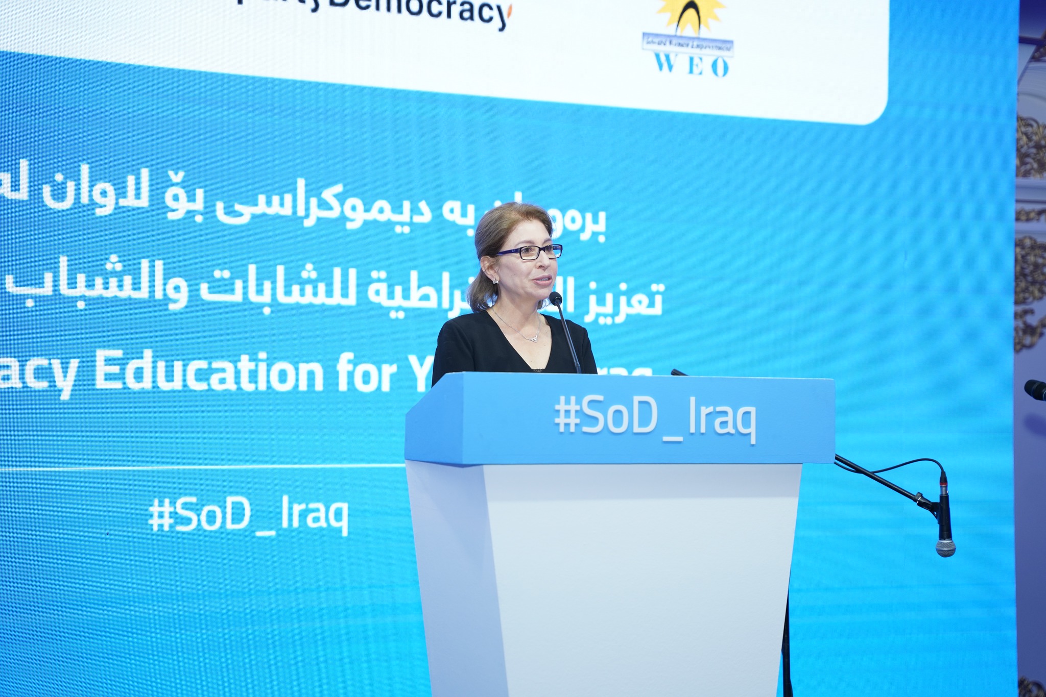 Democracy Education for Youth in Iraq