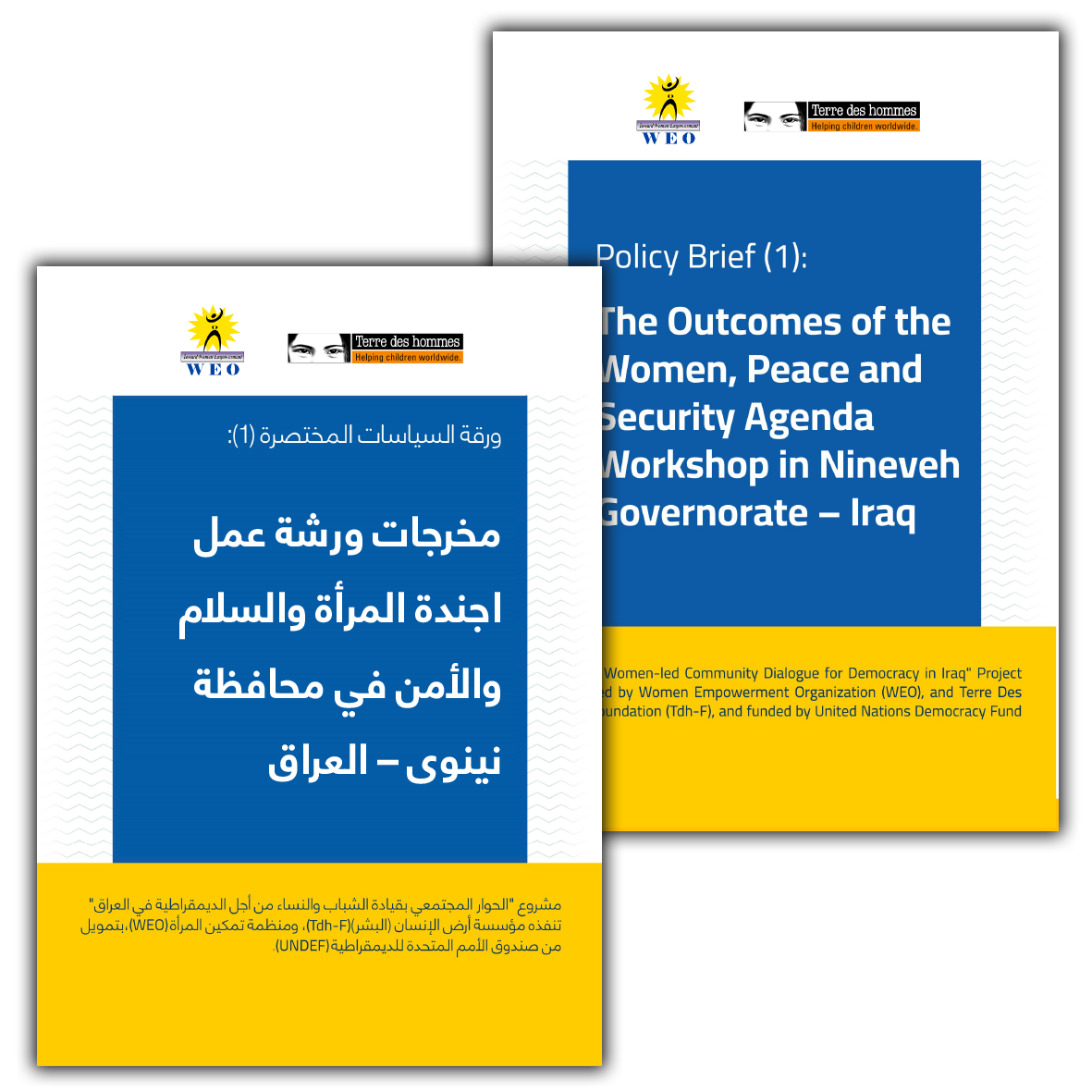 The Outcomes of the WPSA Workshop in Nineveh Governorate - Iraq