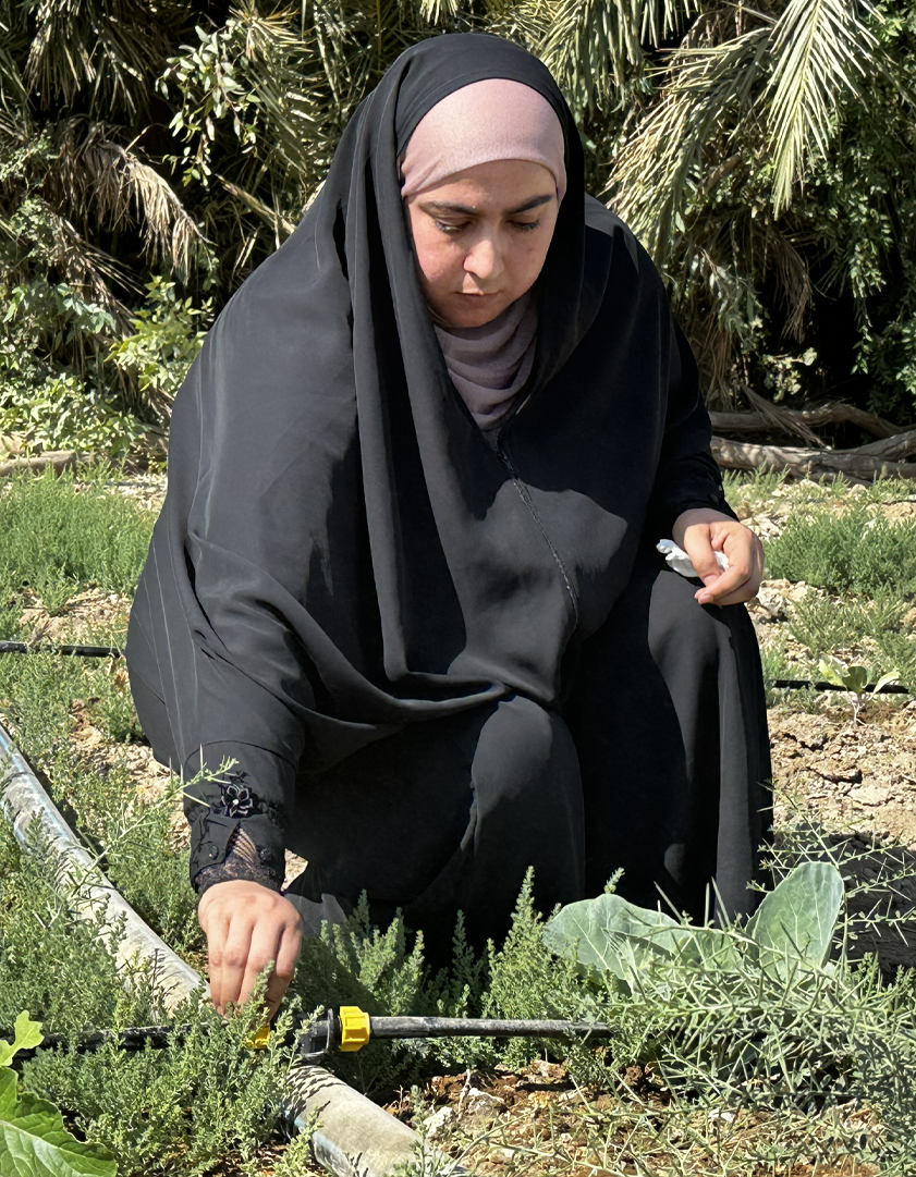 Climate Resilience and Humanitarian Aid